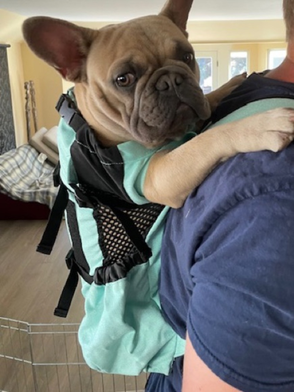 K9 Dog Sport Sack Mint Green Carrier Backpack size M